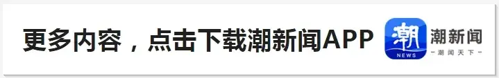 刘星表示, 张伟丽