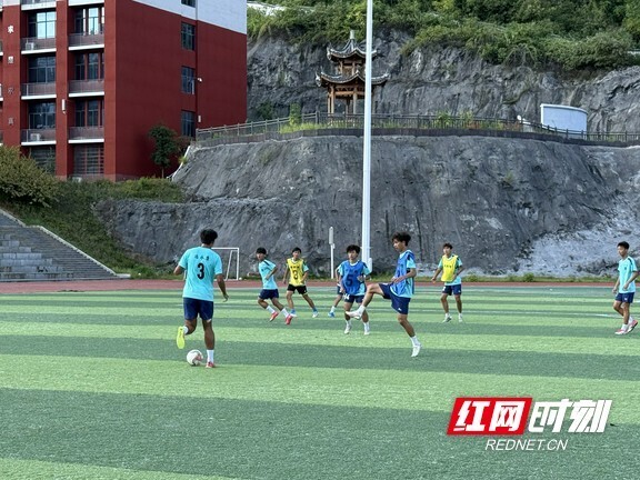 的范畴, 组建了一支, 流量机遇