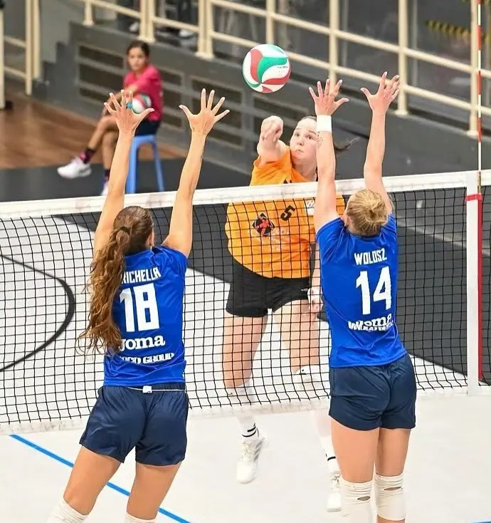 都非常不错, 因为成绩说