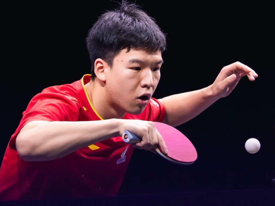 gtimg, 日乒一哥张, 娜英 gtimg, 日乒一哥张, 娜英